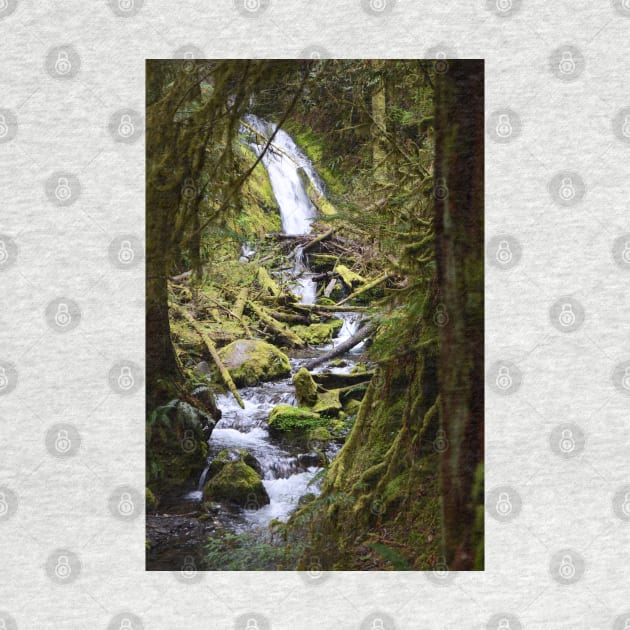 Woodsy Waterfall in the Hoh Rainforest by elisewied